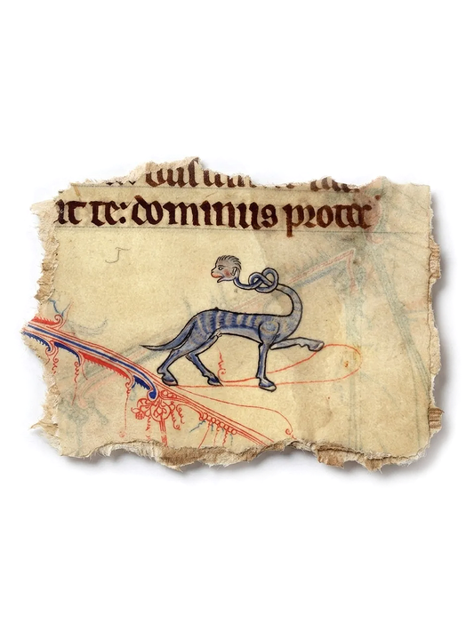 Codex Marginalium - Creatura Nodosa