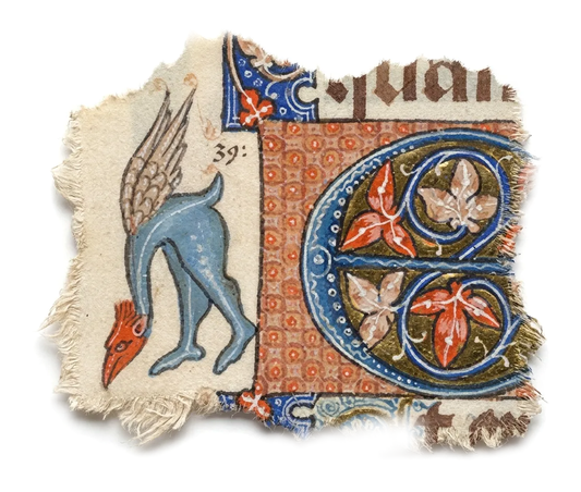 Codex Marginalium - Draco Humilis