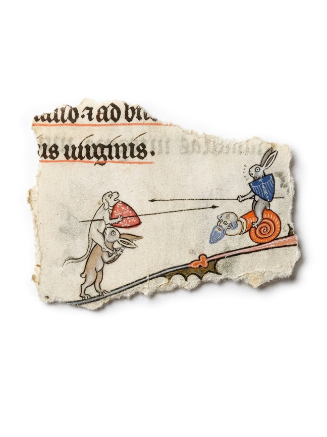 Codex Marginalium - Lepus Gloriosus