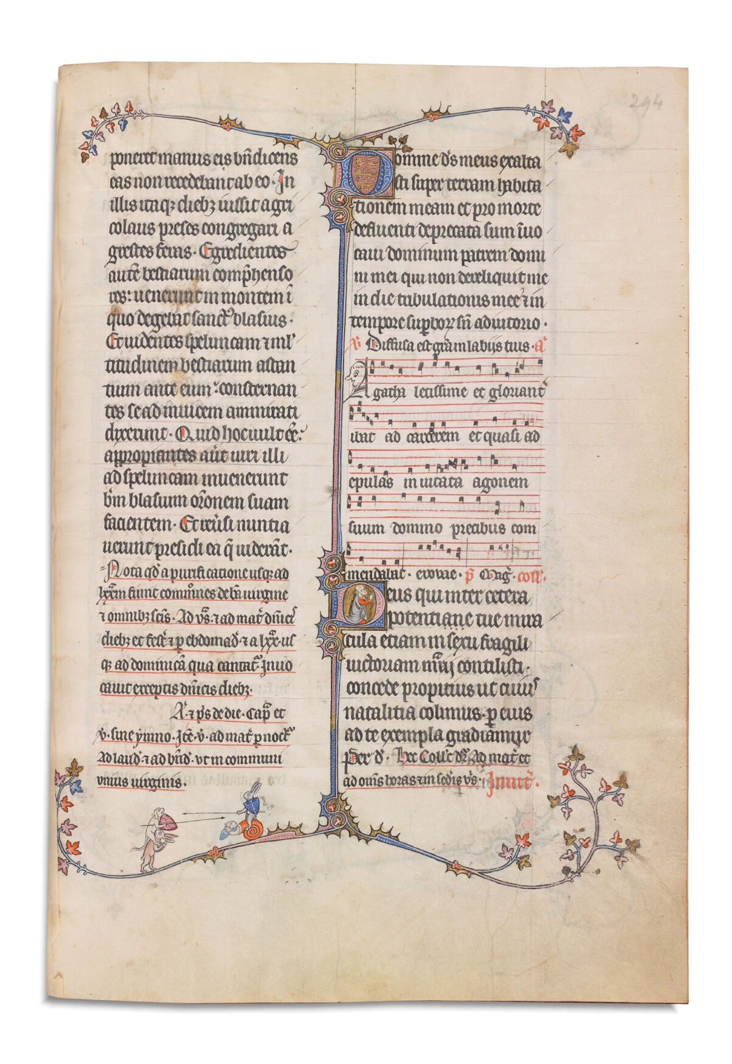 Codex Marginalium - Lepus Gloriosus