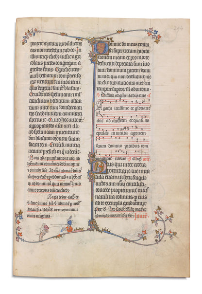 Codex Marginalium - Lepus Gloriosus