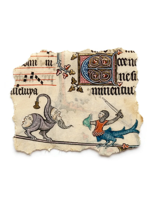 Codex Marginalium - Animus Geminus