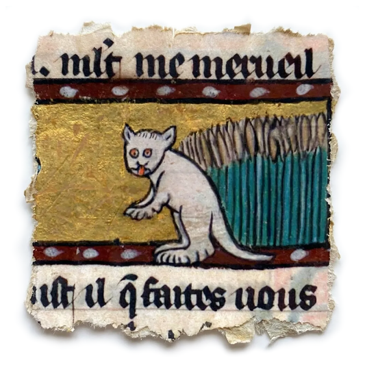 Codex Marginalium - Felis Alata